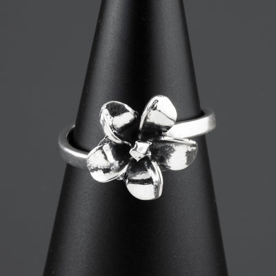 The Frangipani Ring