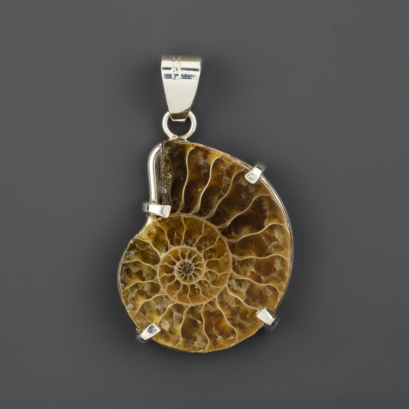 ammonite fossil pendant