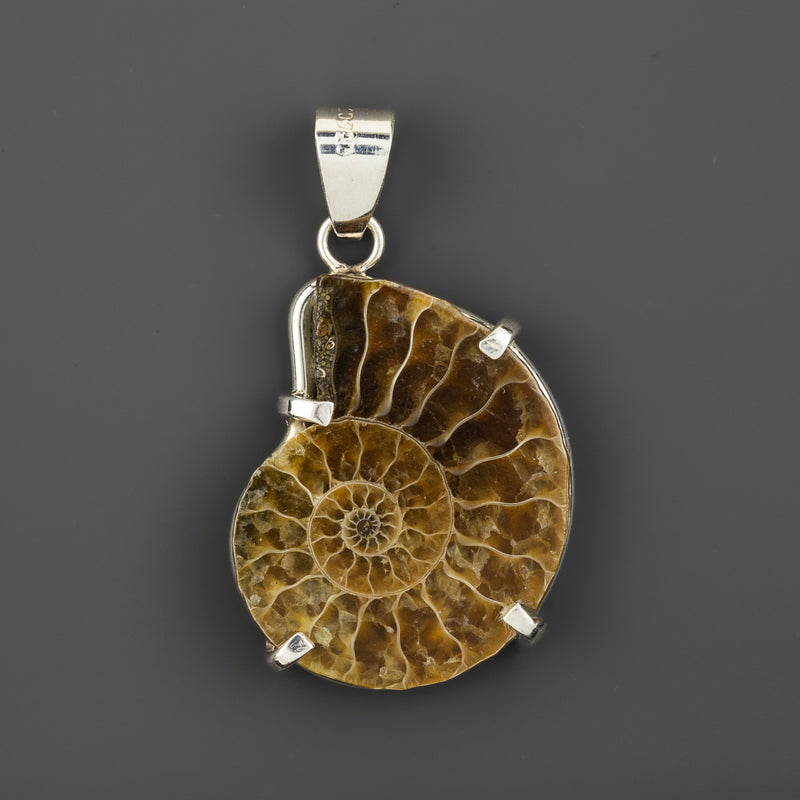 ammonite fossil pendant