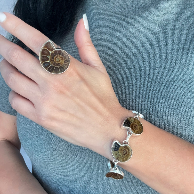 ammonite fossil ring