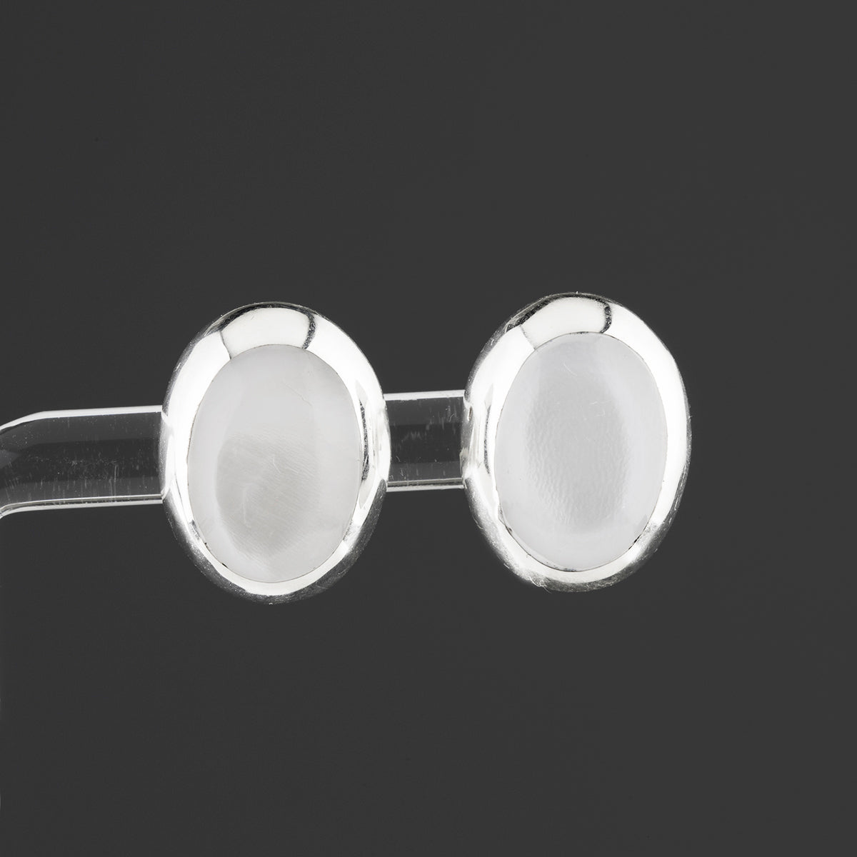 Conch Shell Stud Earrings