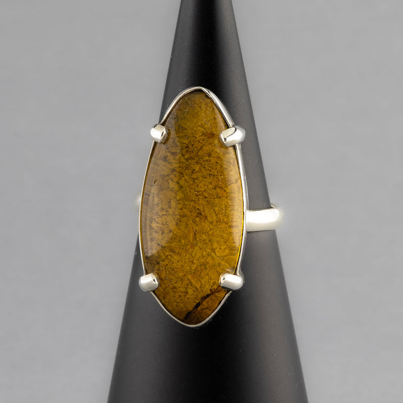 elongated amber ring